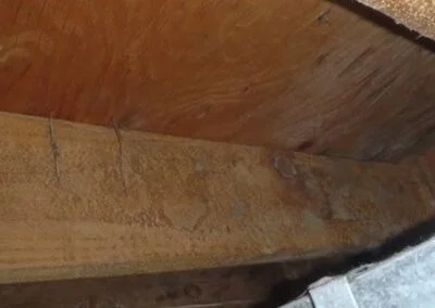 Home inspection of roof and structural components